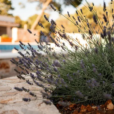 Βίλα Fortuna House *