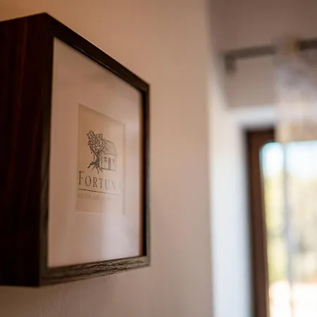 Villa Fortuna House *