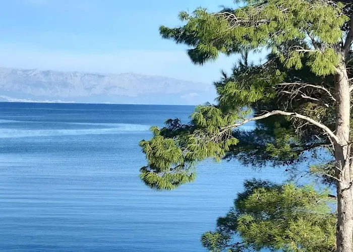 Fortuna House * Stari Grad (Hvar)